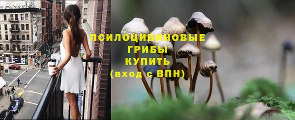 ECSTASY Нея